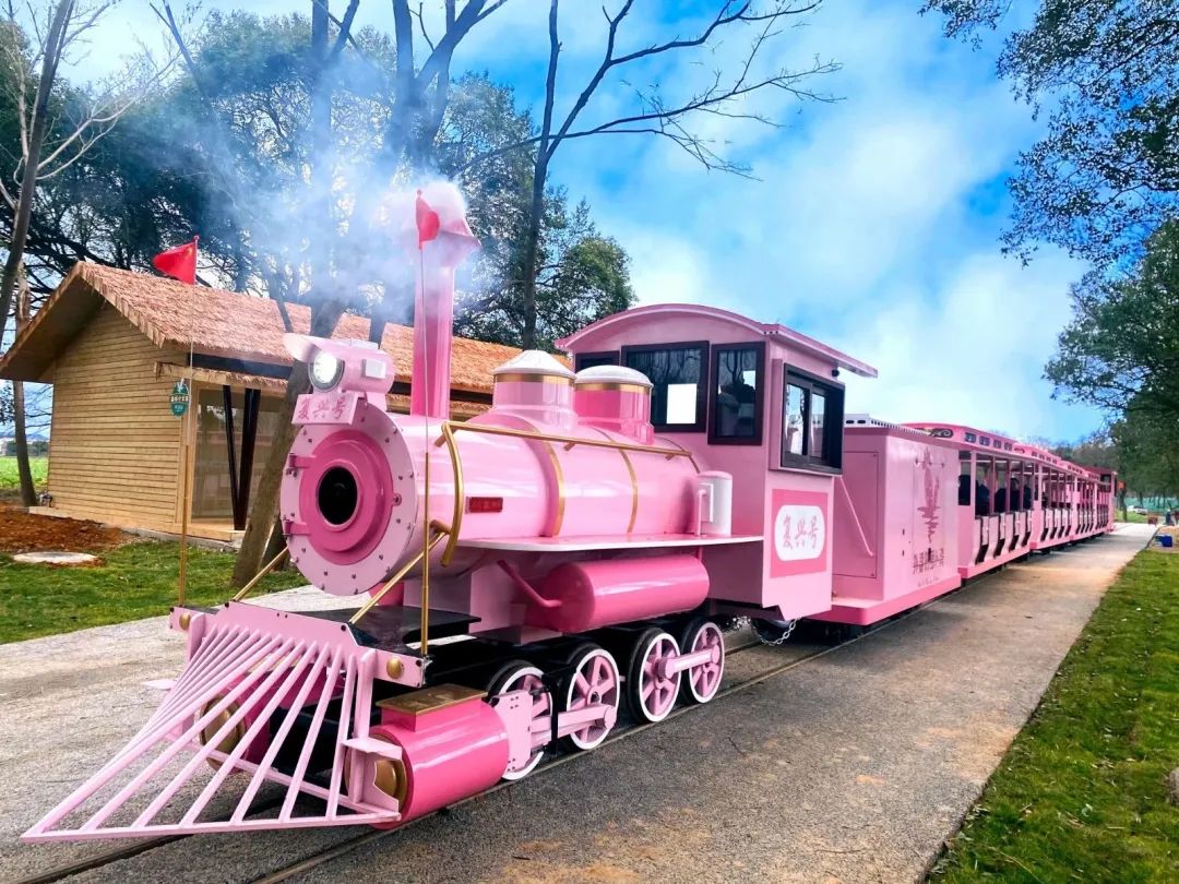春节坐着小火车去信丰拔萝卜 图片